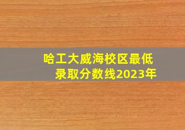 哈工大威海校区最低录取分数线2023年