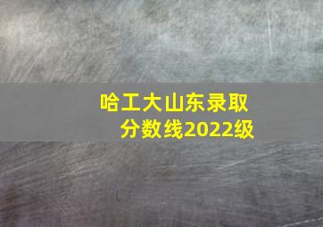 哈工大山东录取分数线2022级