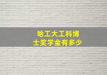 哈工大工科博士奖学金有多少