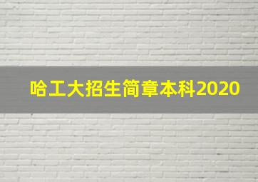 哈工大招生简章本科2020