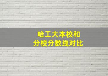 哈工大本校和分校分数线对比