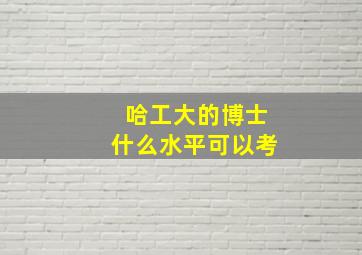 哈工大的博士什么水平可以考