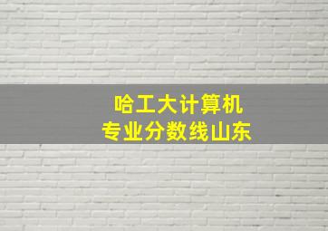 哈工大计算机专业分数线山东