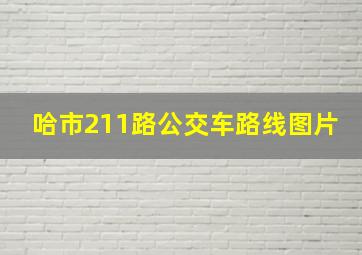 哈市211路公交车路线图片