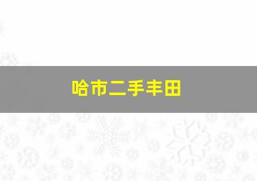 哈市二手丰田