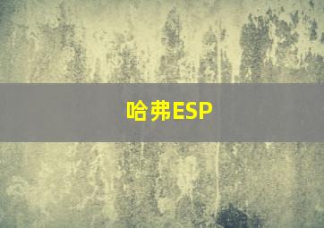 哈弗ESP