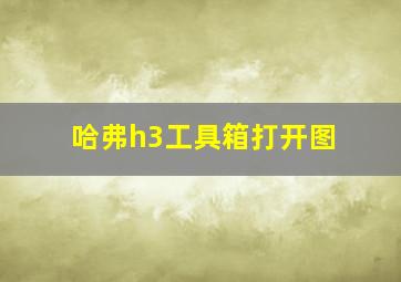 哈弗h3工具箱打开图