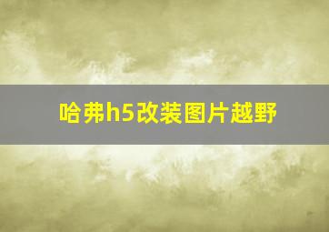 哈弗h5改装图片越野