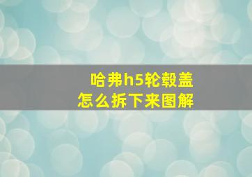 哈弗h5轮毂盖怎么拆下来图解