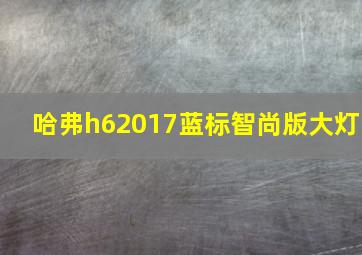 哈弗h62017蓝标智尚版大灯