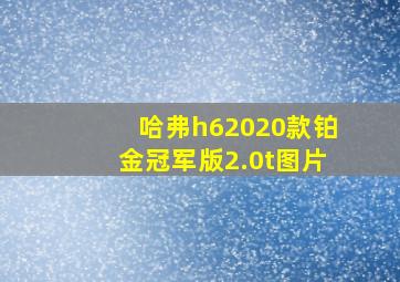 哈弗h62020款铂金冠军版2.0t图片