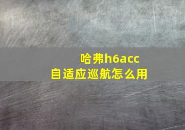 哈弗h6acc自适应巡航怎么用