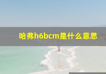 哈弗h6bcm是什么意思