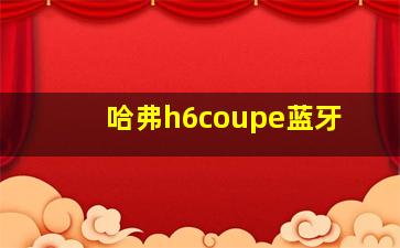 哈弗h6coupe蓝牙