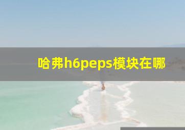 哈弗h6peps模块在哪