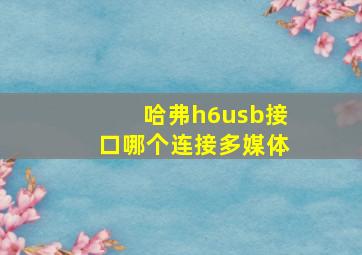 哈弗h6usb接口哪个连接多媒体