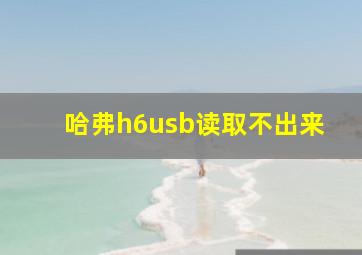 哈弗h6usb读取不出来