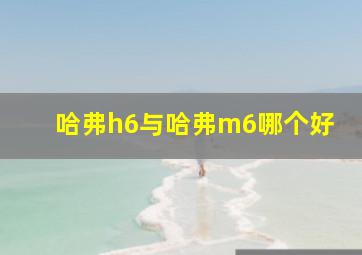 哈弗h6与哈弗m6哪个好