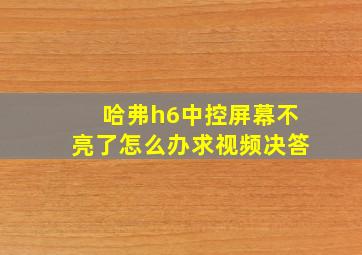 哈弗h6中控屏幕不亮了怎么办求视频决答