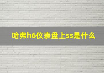 哈弗h6仪表盘上ss是什么