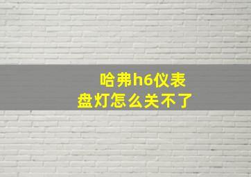 哈弗h6仪表盘灯怎么关不了