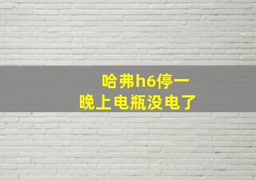 哈弗h6停一晚上电瓶没电了