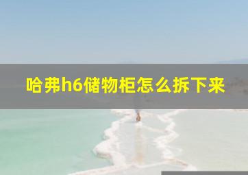 哈弗h6储物柜怎么拆下来