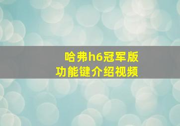 哈弗h6冠军版功能键介绍视频