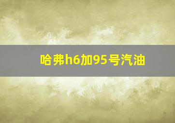 哈弗h6加95号汽油