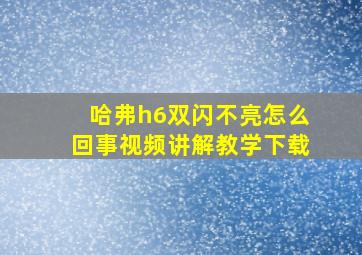 哈弗h6双闪不亮怎么回事视频讲解教学下载