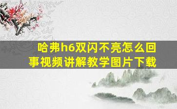 哈弗h6双闪不亮怎么回事视频讲解教学图片下载