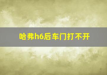 哈弗h6后车门打不开