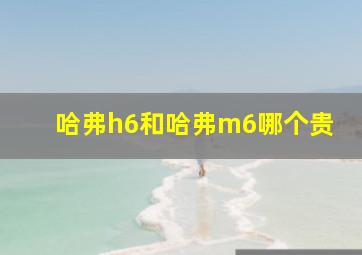 哈弗h6和哈弗m6哪个贵