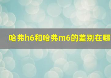 哈弗h6和哈弗m6的差别在哪