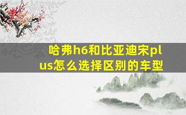 哈弗h6和比亚迪宋plus怎么选择区别的车型