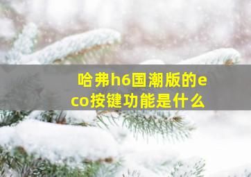 哈弗h6国潮版的eco按键功能是什么