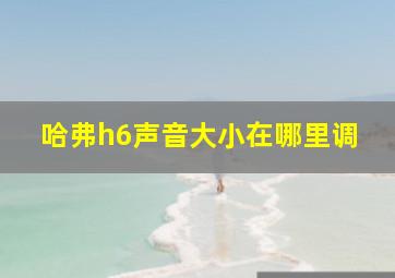 哈弗h6声音大小在哪里调