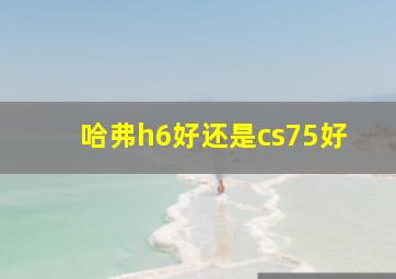 哈弗h6好还是cs75好