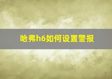 哈弗h6如何设置警报