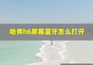 哈弗h6屏幕蓝牙怎么打开