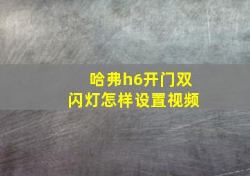 哈弗h6开门双闪灯怎样设置视频