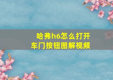 哈弗h6怎么打开车门按钮图解视频