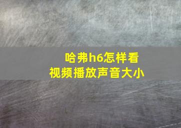 哈弗h6怎样看视频播放声音大小