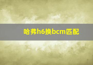 哈弗h6换bcm匹配