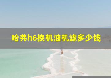 哈弗h6换机油机滤多少钱