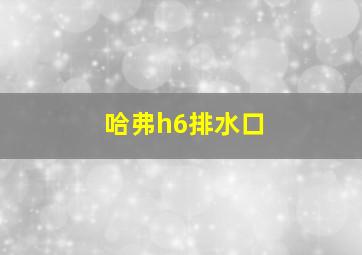 哈弗h6排水口