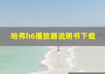 哈弗h6播放器说明书下载