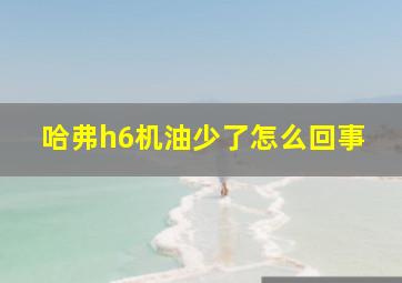 哈弗h6机油少了怎么回事