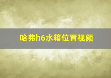 哈弗h6水箱位置视频