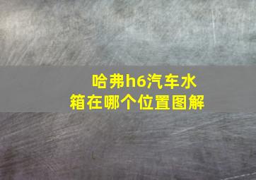 哈弗h6汽车水箱在哪个位置图解